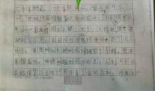 写给奶奶的一封信