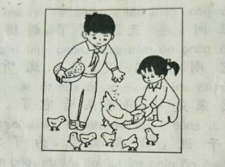 离群的小鸡读图片写词