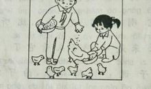 离群的小鸡看图写话