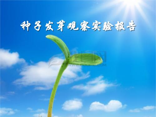 种子发芽