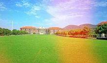 我最怀念的母校