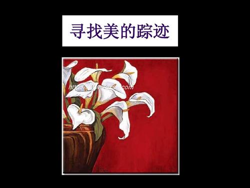 寻找美丽