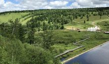 我真想世界变成一片大森林