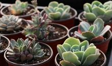 低碳环保资源回收再造