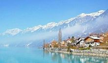 新一年的新鲜事儿