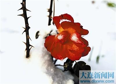 永恒的色彩