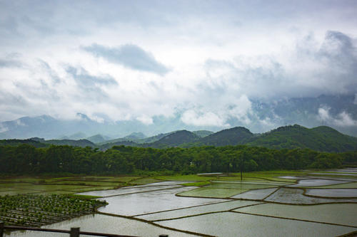 山雨