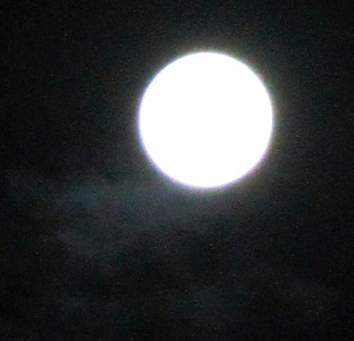 中秋节之夜