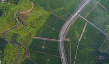 美丽的高港生态公园