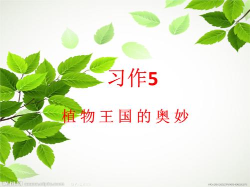 植物王国的奥秘