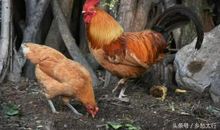 刻在心头上的记忆