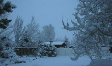 在飘雪的季节等待花开