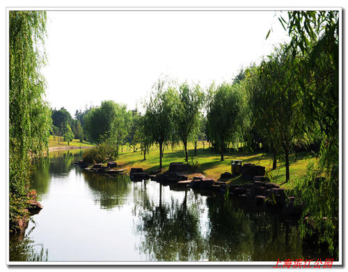 美丽，滨江公园