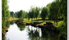 美啊，滨江公园