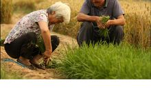 成长是一次让他人展开笑容的喜悦