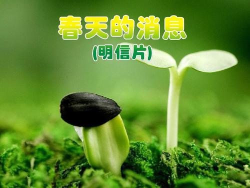 春天的新闻