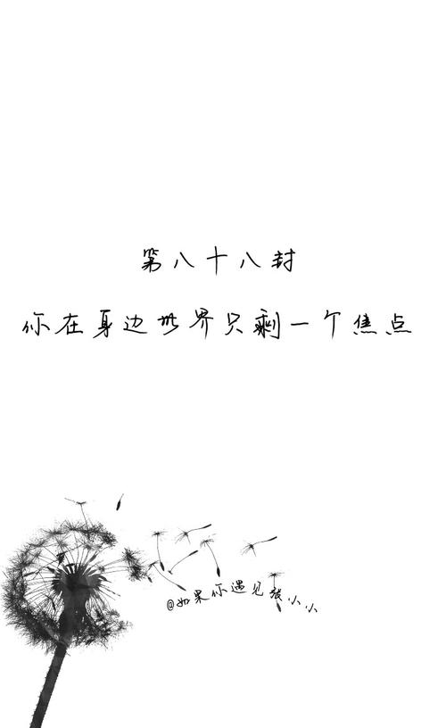 最美丽的友谊