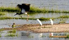 扬帆中国梦共筑生态家