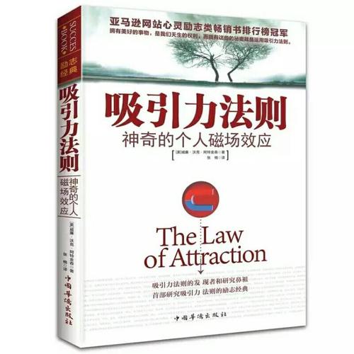 最吸引我的书