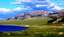 美丽的赛里木湖