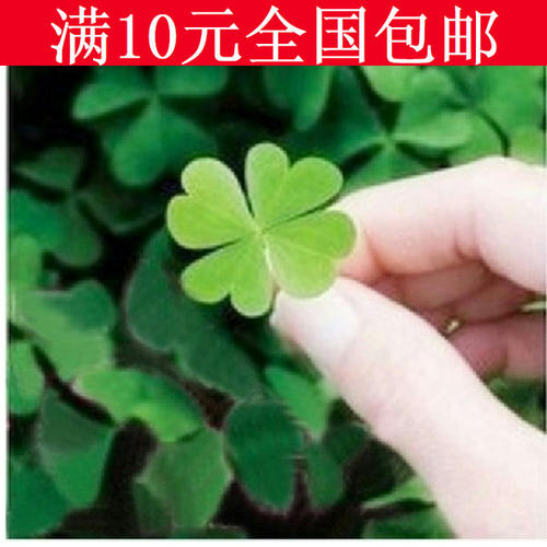 爱草种植