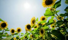 不要轻易相信别人的话