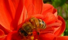 生活无处不精彩