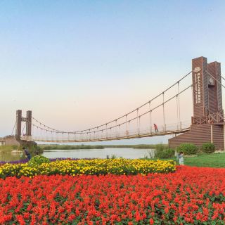 参观方舟生态公园