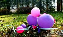 人间有味是“清”欢