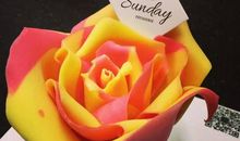 我最熟悉的一种花