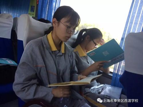 就这样栽了种子