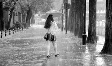 穿梭在风雨中的背影