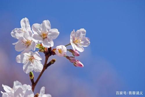 让规则之花在我们心中绽放