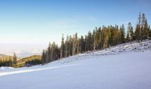 冬日里的一股暖阳