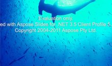 关于鲸鱼的说明文