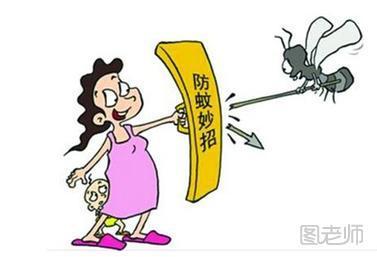 蚊子的乐趣