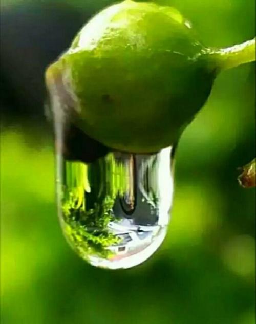 春雨