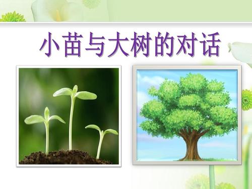 我和大书的对话