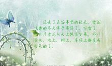 秋天的“雪花”