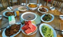 参观方舟生态庄园