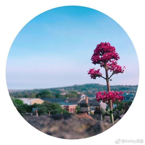 春风拂面