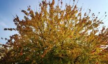 怎一个美字了得