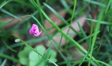 心头的那一抹亮色