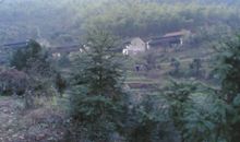 家乡的山让我铭记