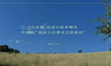 奔跑在追梦的路上