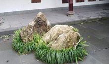 杜甫草堂一日游