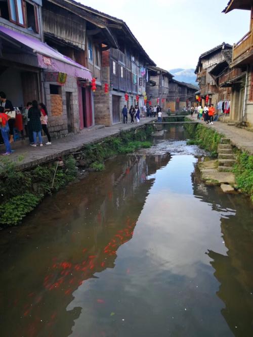 美丽的鲤鱼溪