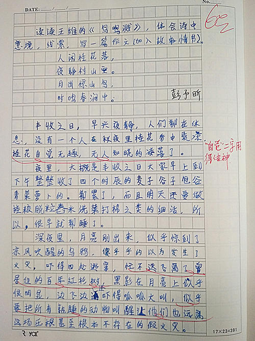 静Writing作文