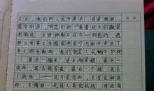 树和喜鹊读后感300字