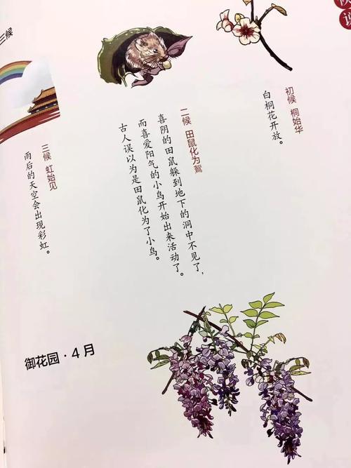 欣赏诗歌和生活